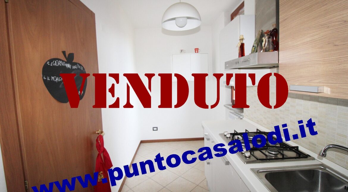 Riferimento 333 (16)