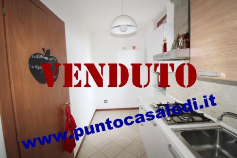 Riferimento 333 (16)