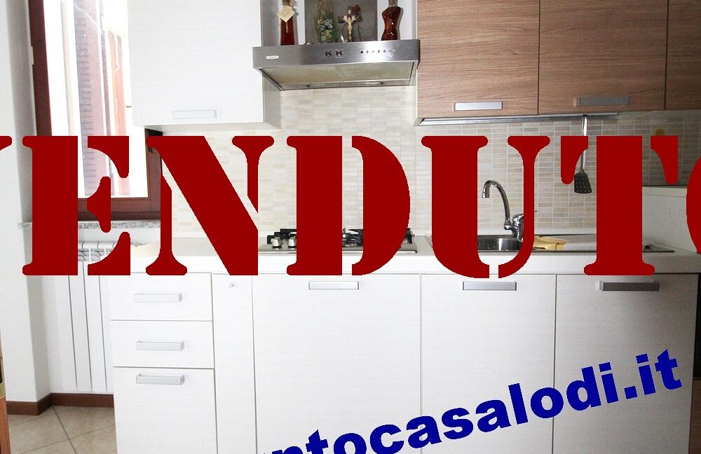 Riferimento 333 (17)