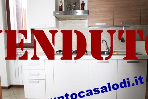 Riferimento 333 (17)