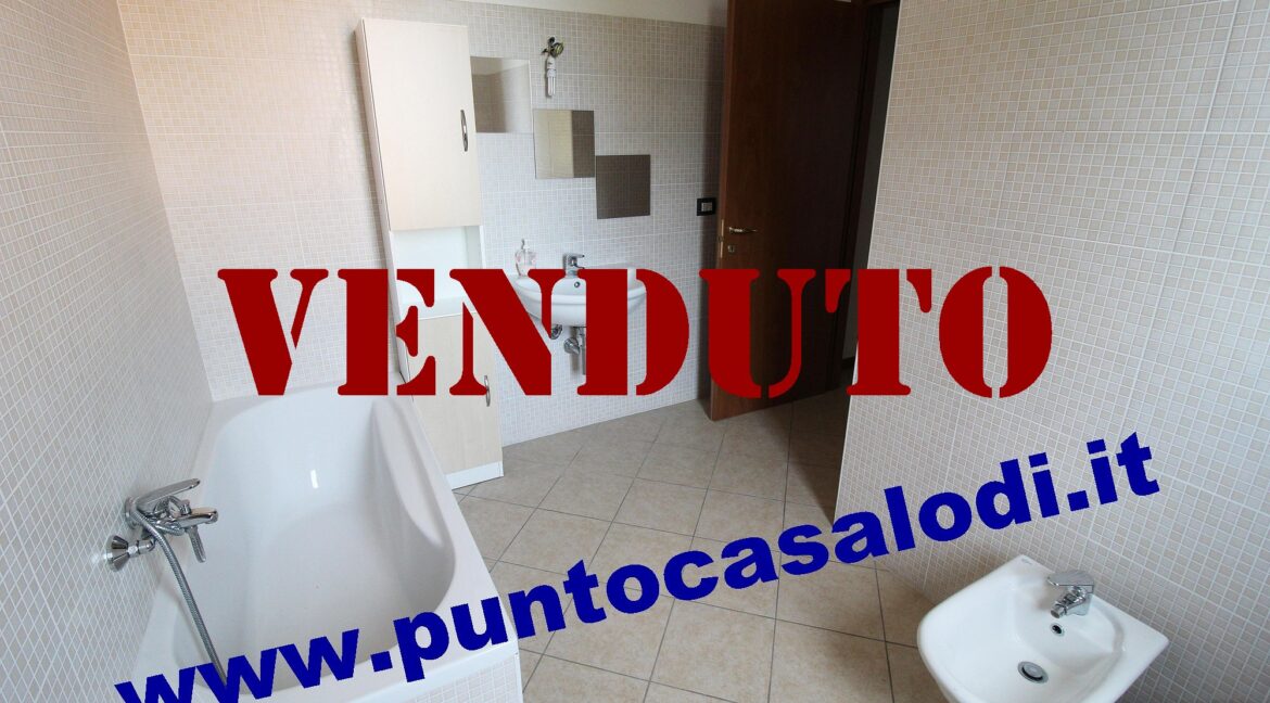 Riferimento 333 (18)