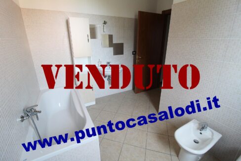 Riferimento 333 (18)