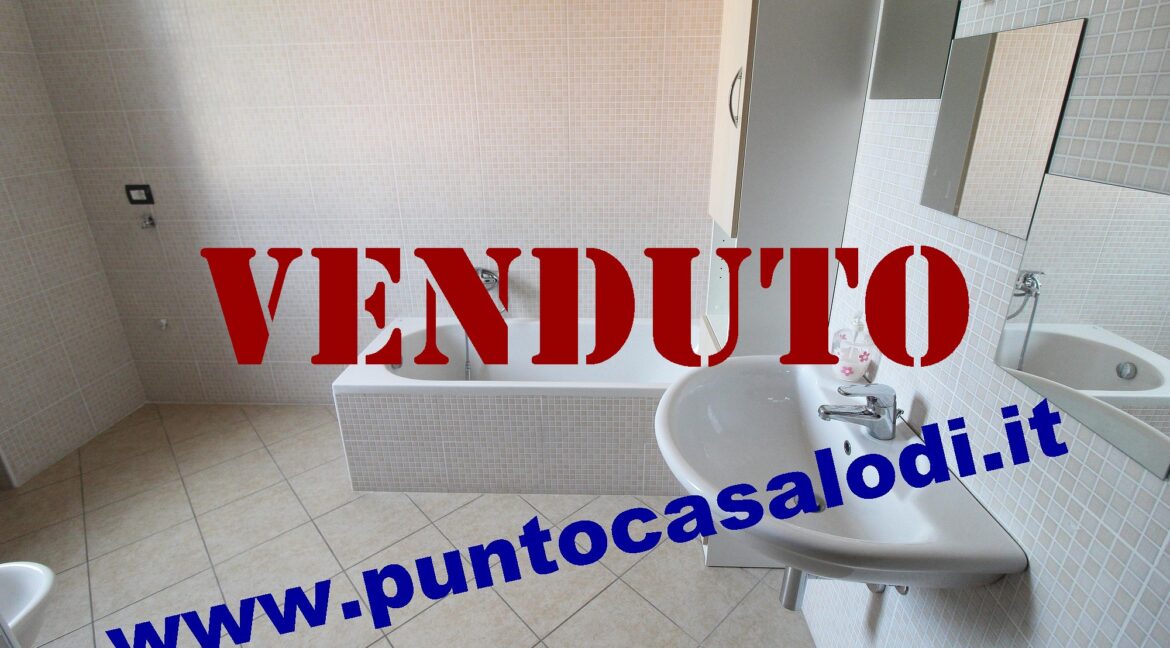 Riferimento 333 (19)