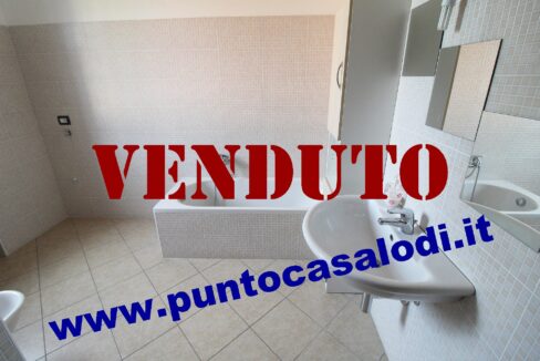 Riferimento 333 (19)