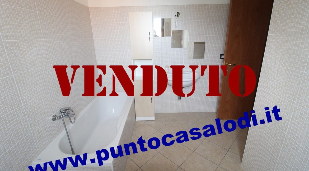 Riferimento 333 (20)