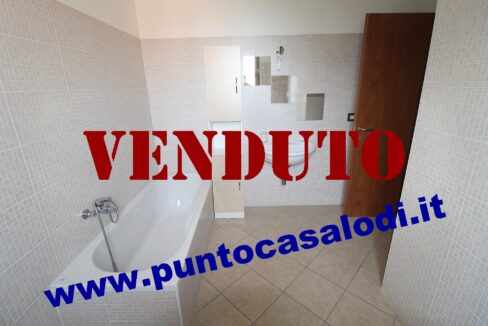 Riferimento 333 (20)