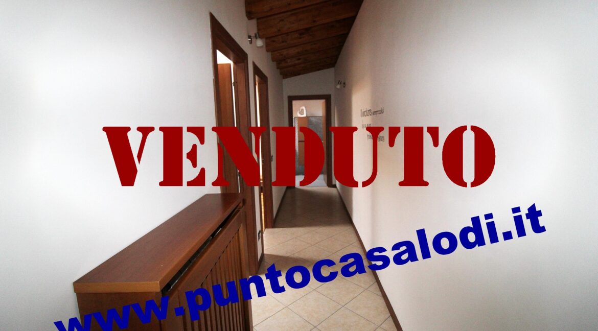 Riferimento 333 (21)