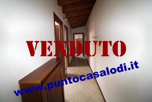 Riferimento 333 (21)