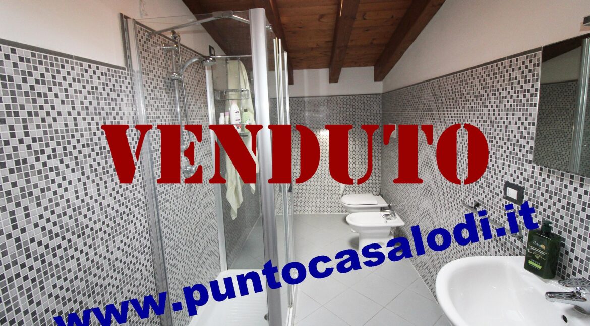 Riferimento 333 (22)