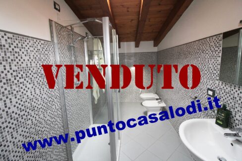 Riferimento 333 (22)