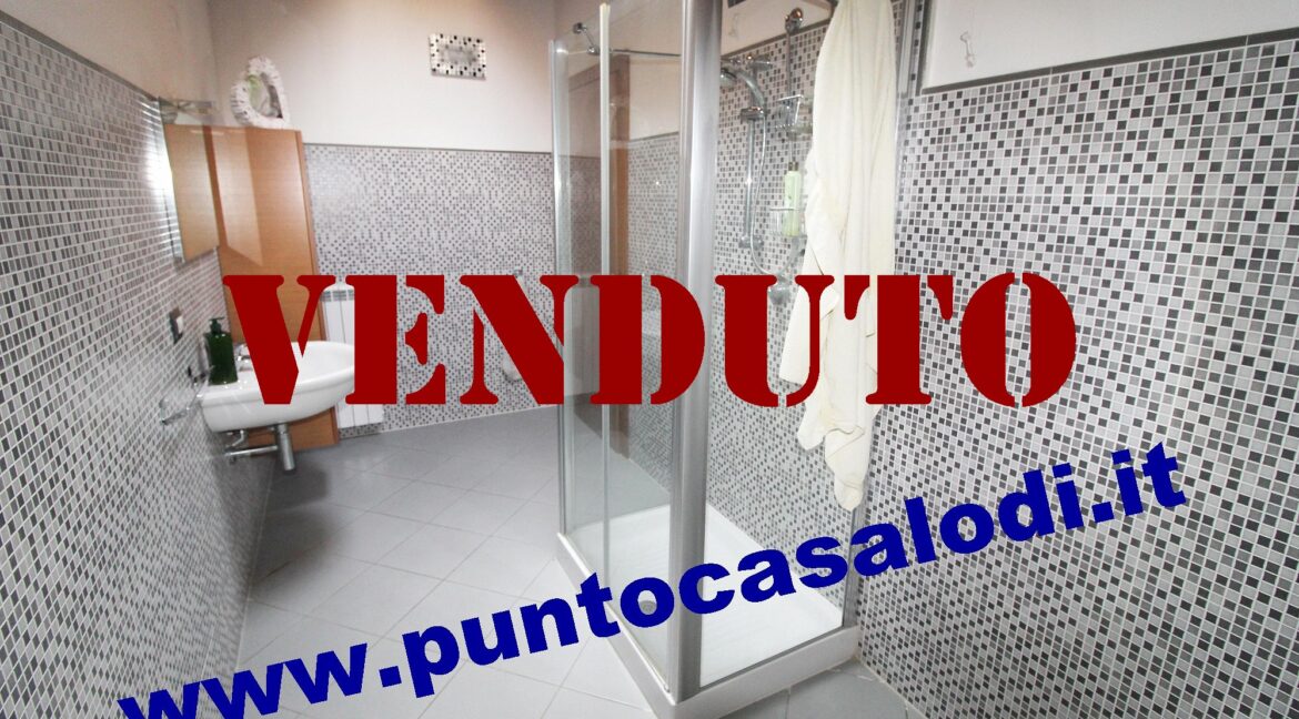 Riferimento 333 (23)