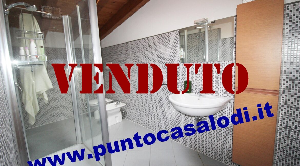 Riferimento 333 (24)