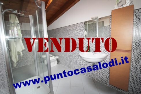 Riferimento 333 (24)