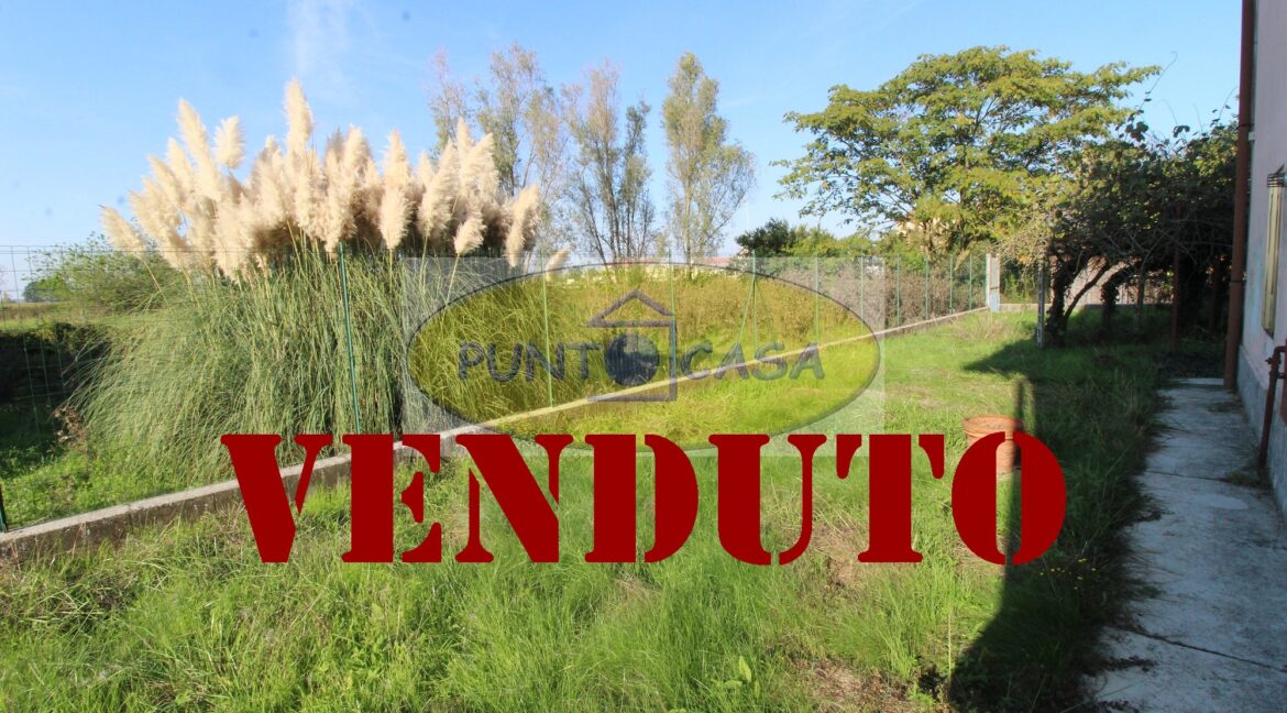 Riferimento 362 (63)