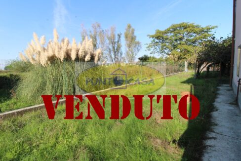 Riferimento 362 (63)