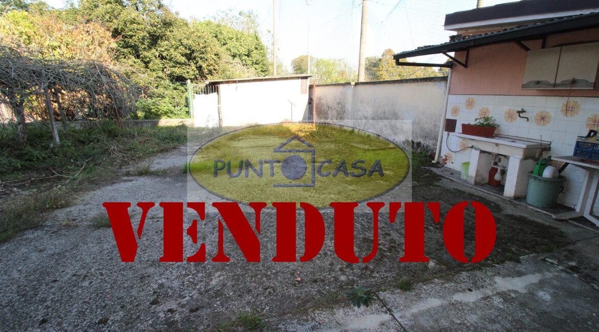 Riferimento 362 (67)