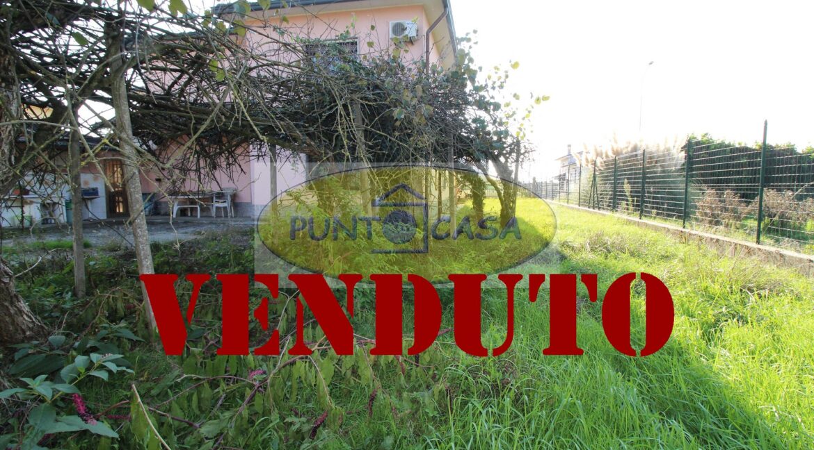 Riferimento 362 (71)