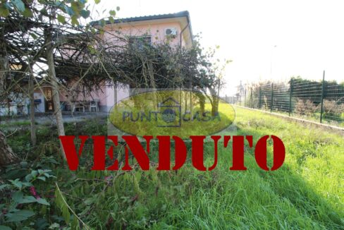 Riferimento 362 (71)