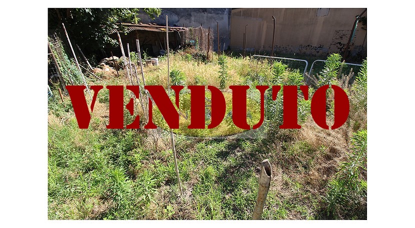 Riferimento 804 (42)