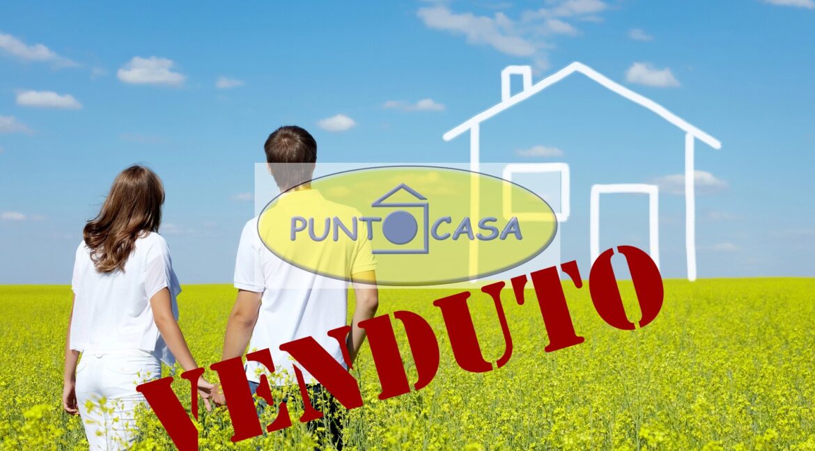 VENDUTO (3)