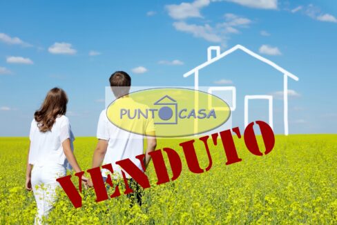 VENDUTO (3)