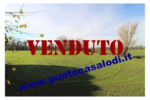 Via Vecchio Bersaglio n. 5 LODI. Vendesi appartamento bilocale con terrazzo - riferimento 3150 (41)