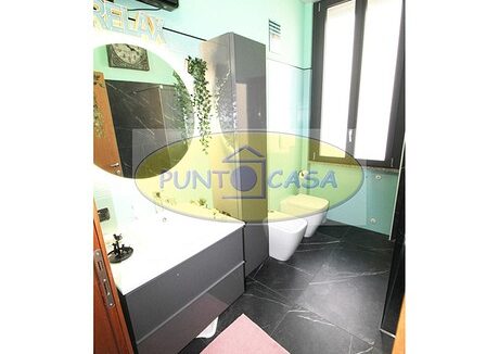 lodi riferimento 3373 (49)