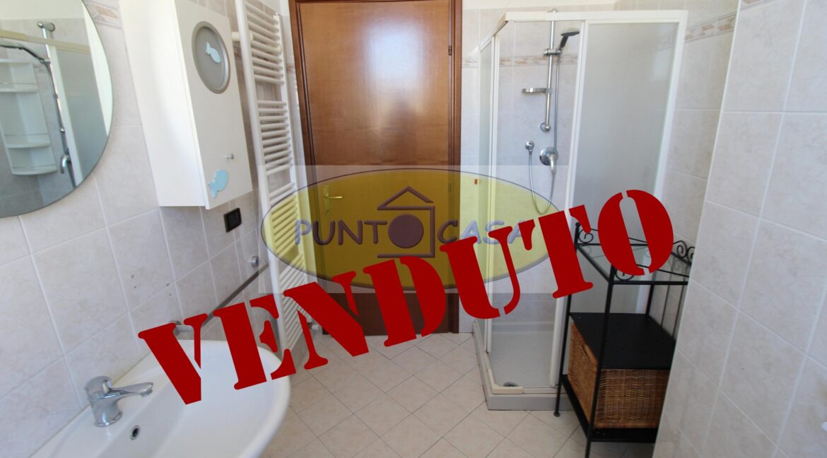 riferimento 737 (20)