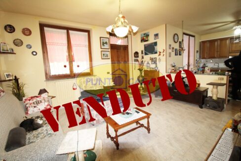 riferimento 8324 (19)