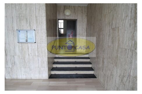 riferimento 9210 (5)