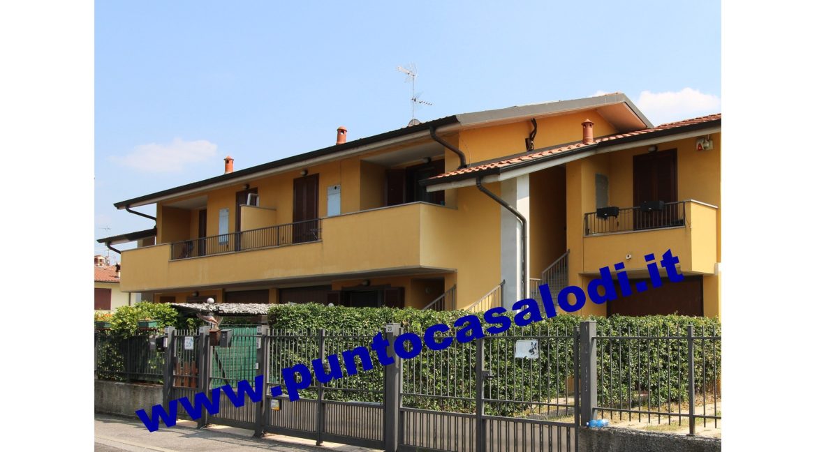 1 cavallo 2535
