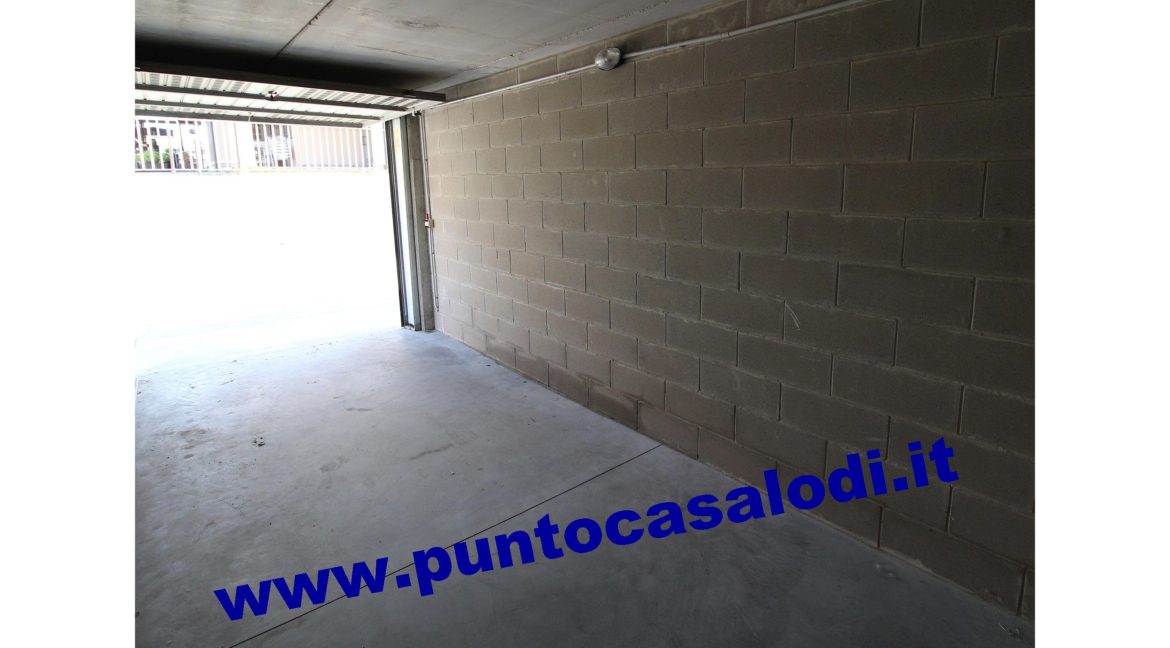 1 morabito trilo 7268 (28)