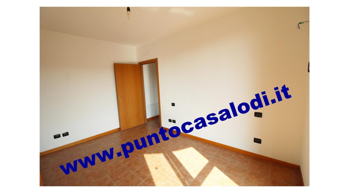1 piscioneri bilo 728b (10)