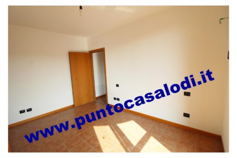 1 piscioneri bilo 728b (10)