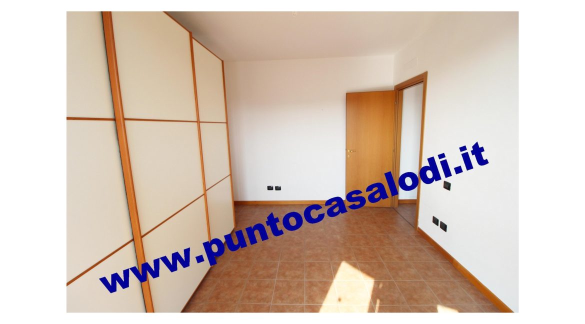 1 piscioneri bilo 728b (12)