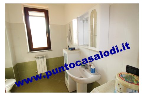 1 piscioneri bilo 728b (13)