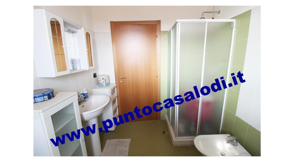 1 piscioneri bilo 728b (14)