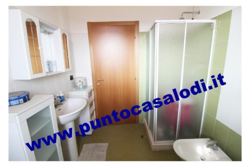 1 piscioneri bilo 728b (14)