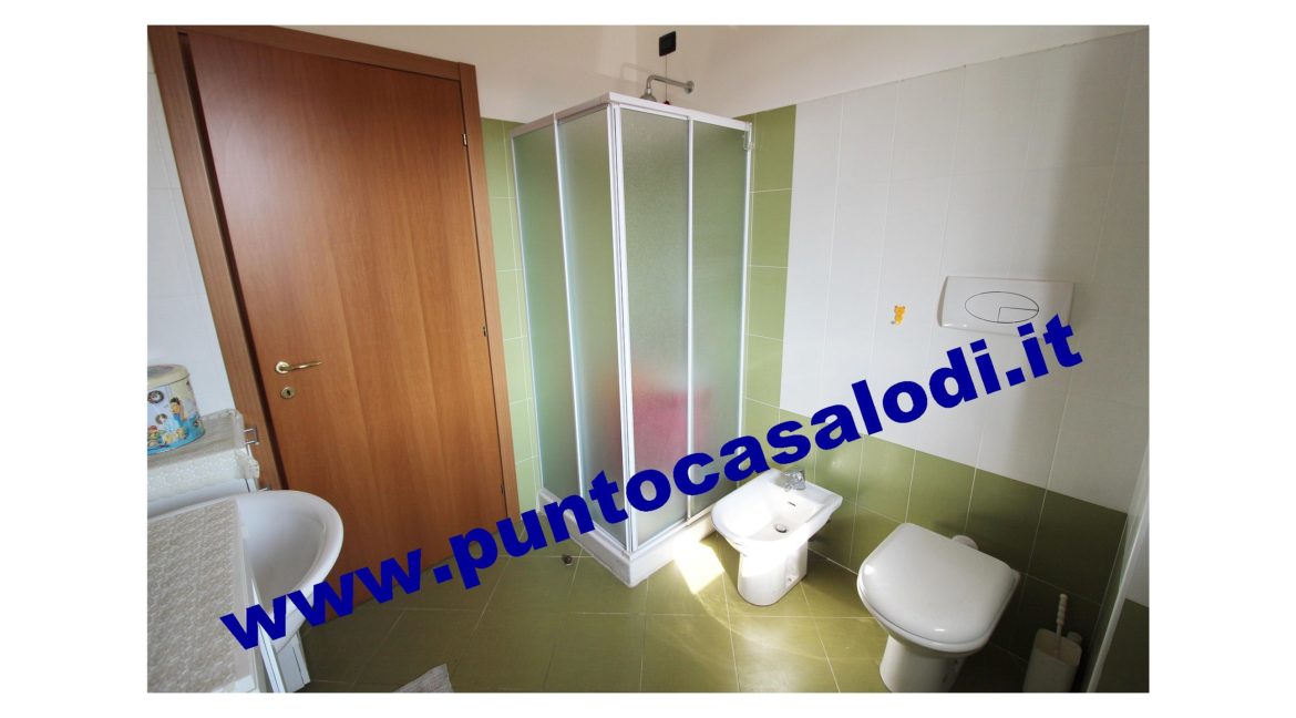 1 piscioneri bilo 728b (15)