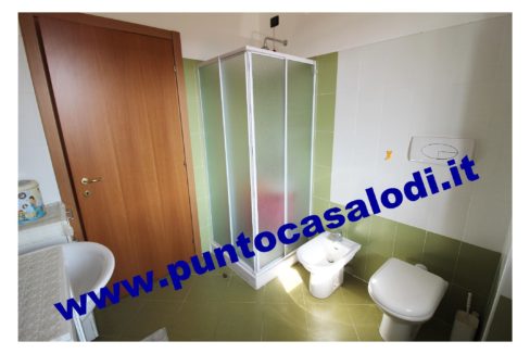 1 piscioneri bilo 728b (15)
