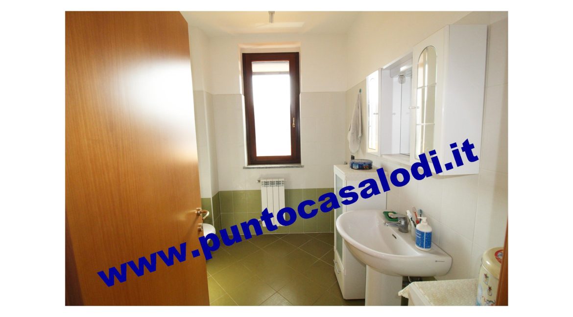 1 piscioneri bilo 728b (17)