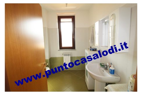 1 piscioneri bilo 728b (17)