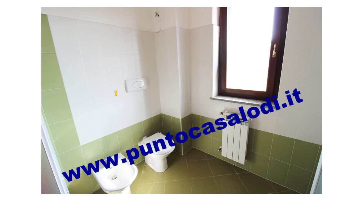 1 piscioneri bilo 728b (18)
