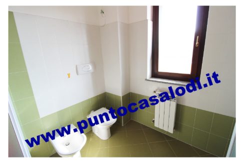 1 piscioneri bilo 728b (18)