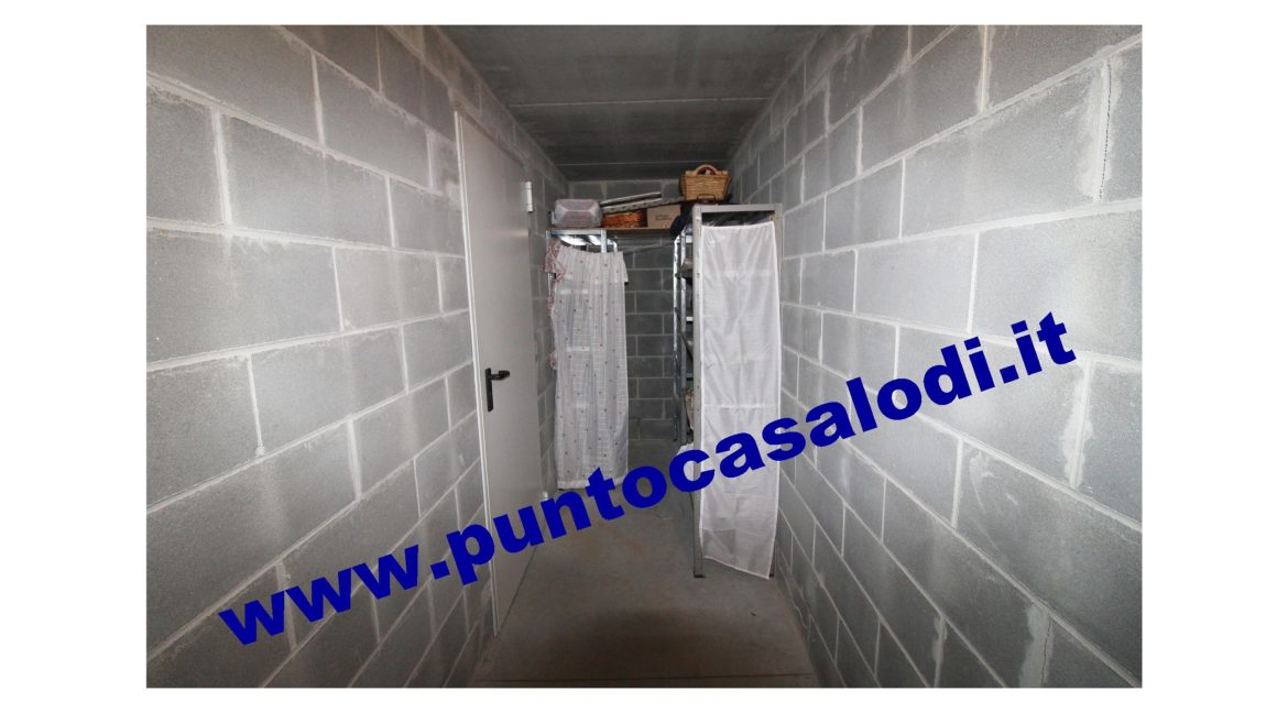 1 piscioneri bilo 728b (19)
