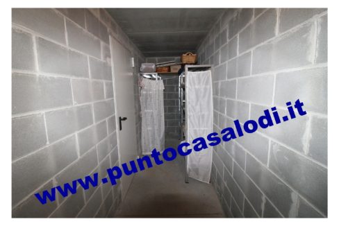 1 piscioneri bilo 728b (19)