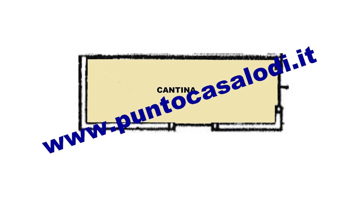 1 piscioneri bilo 728b (1a) (3)