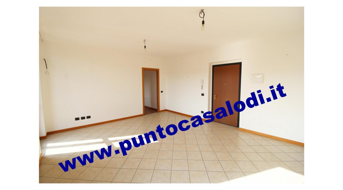 1 piscioneri bilo 728b (2)