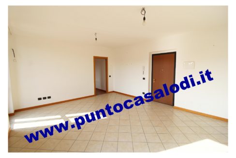 1 piscioneri bilo 728b (2)