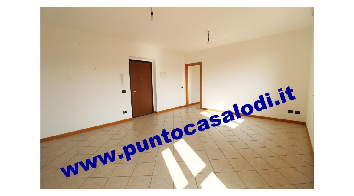 1 piscioneri bilo 728b (3)